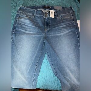 Torrid jeans